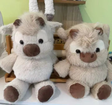 Nasz nowy ulubieniec w domu ❤️