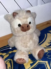 Mały pluszak, a tyle radości każdego dnia 🫶